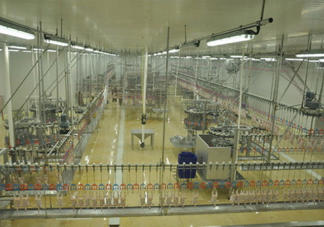 PA�콢��ƽ̨(�й���)�ٷ���վ-PA PlayAce