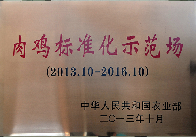 PA�콢��ƽ̨(�й���)�ٷ���վ-PA PlayAce