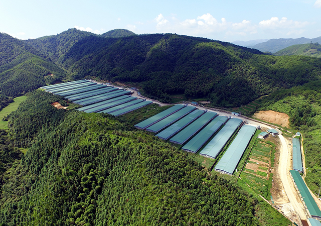 PA�콢��ƽ̨(�й���)�ٷ���վ-PA PlayAce