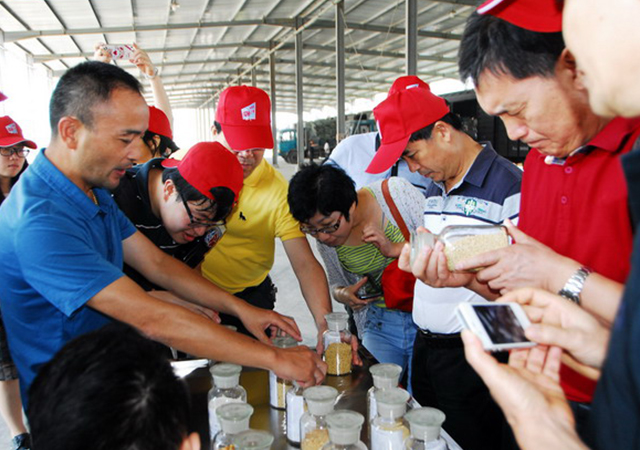 PA�콢��ƽ̨(�й���)�ٷ���վ-PA PlayAce