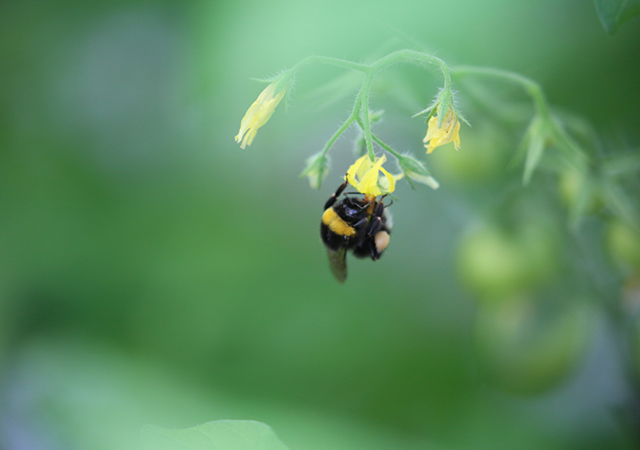 PA�콢��ƽ̨(�й���)�ٷ���վ-PA PlayAce