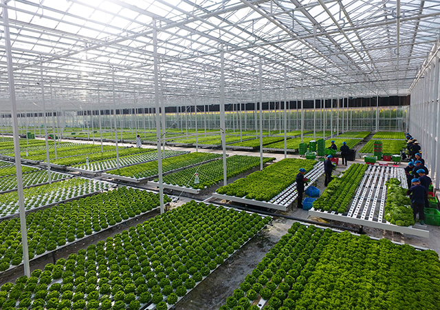 PA�콢��ƽ̨(�й���)�ٷ���վ-PA PlayAce