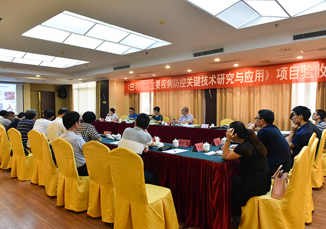 PA�콢��ƽ̨(�й���)�ٷ���վ-PA PlayAce