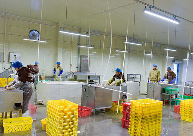 PA�콢��ƽ̨(�й���)�ٷ���վ-PA PlayAce