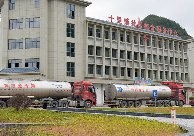 PA�콢��ƽ̨(�й���)�ٷ���վ-PA PlayAce