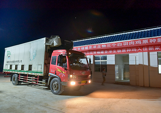 PA�콢��ƽ̨(�й���)�ٷ���վ-PA PlayAce