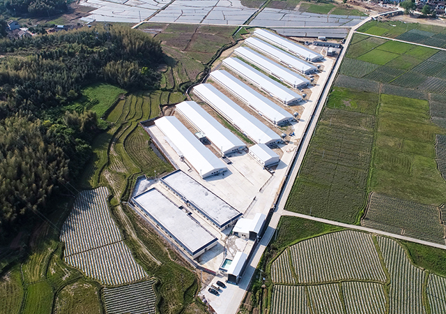 PA�콢��ƽ̨(�й���)�ٷ���վ-PA PlayAce